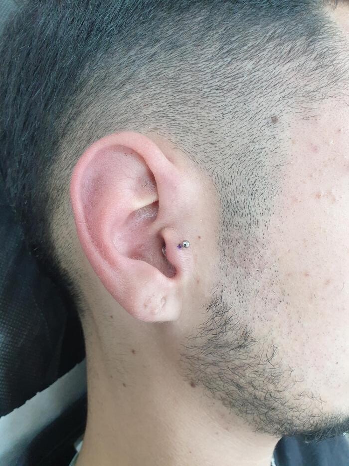 Bilder Line Tattoo & Piercing Heilbronn