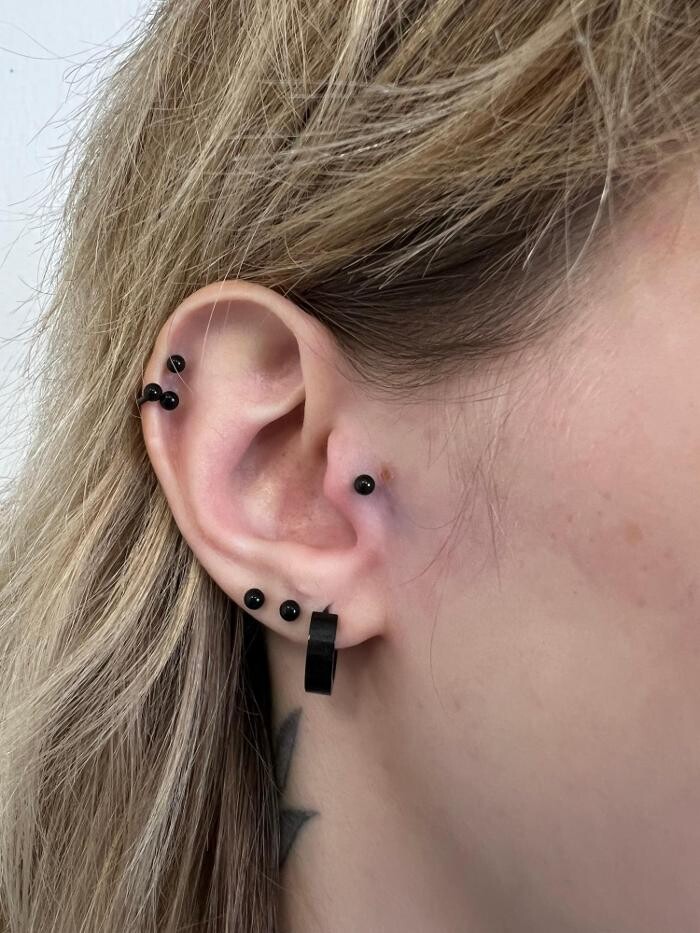 Bilder Line Tattoo & Piercing Heilbronn
