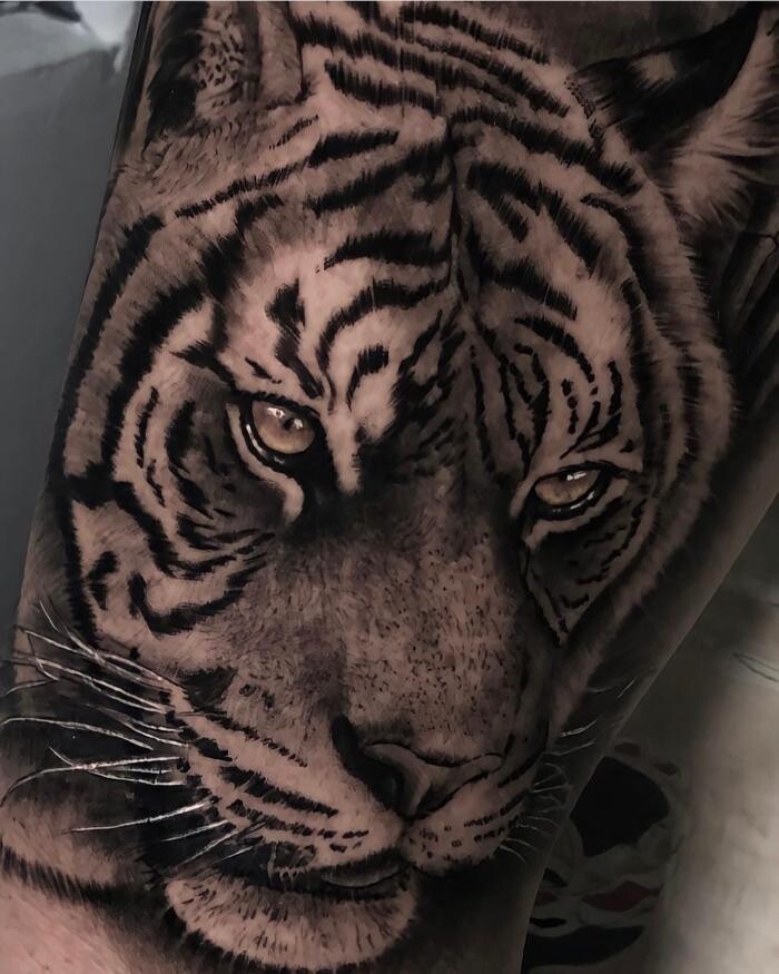 Bilder Line Tattoo & Piercing Heilbronn