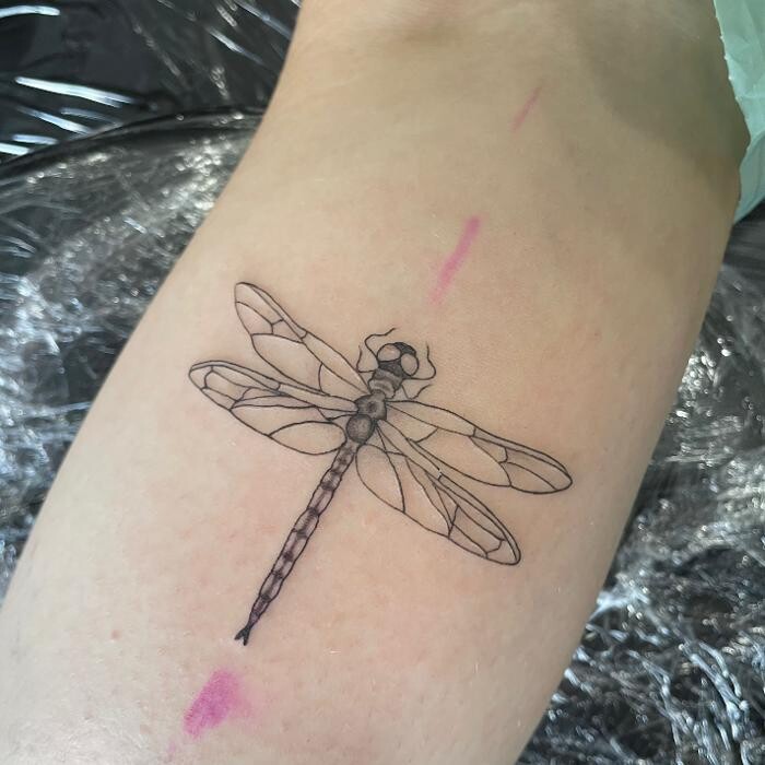 Bilder Line Tattoo & Piercing Heilbronn