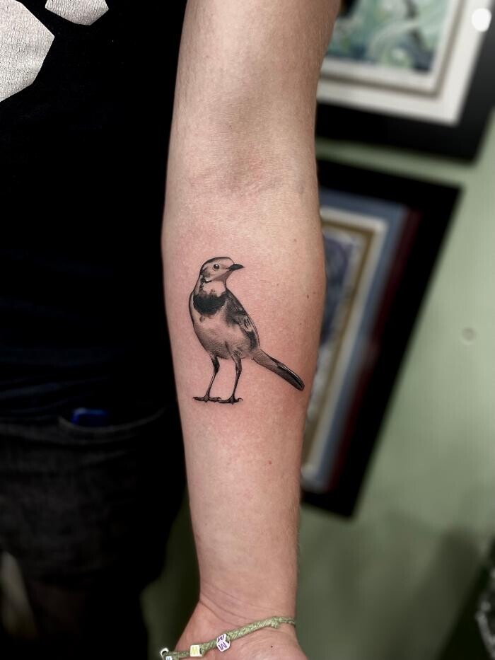Bilder Line Tattoo & Piercing Heilbronn