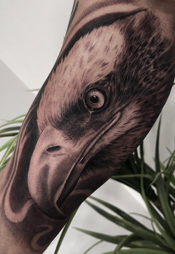 Bilder Line Tattoo & Piercing Heilbronn