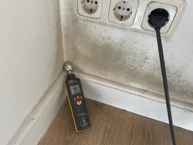 Bilder SH-Immo & partner