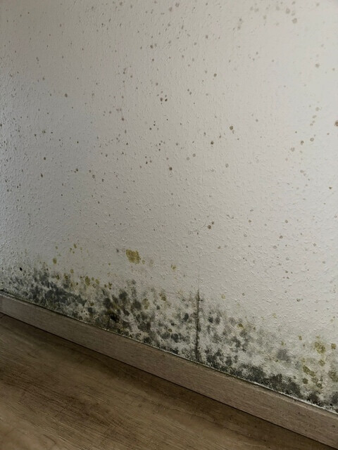 Bilder SH-Immo & partner