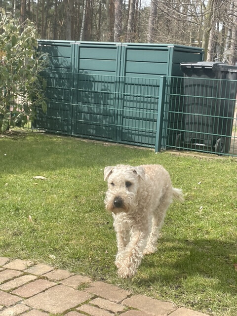 Bilder SH-Immo & partner