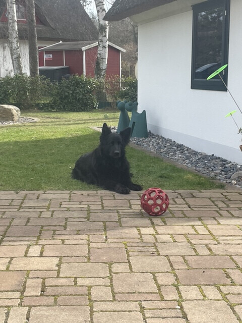 Bilder SH-Immo & partner