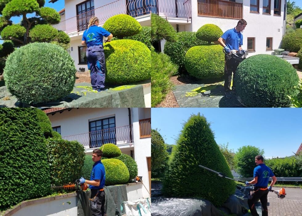 Bilder Achim Gartenpflege
