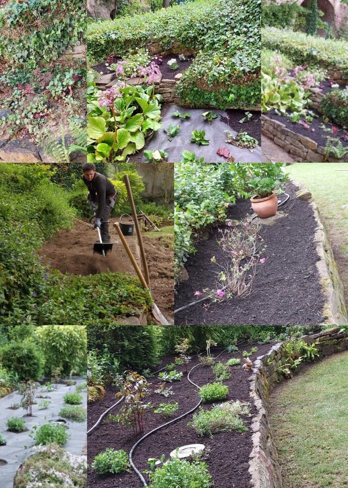 Bilder Achim Gartenpflege
