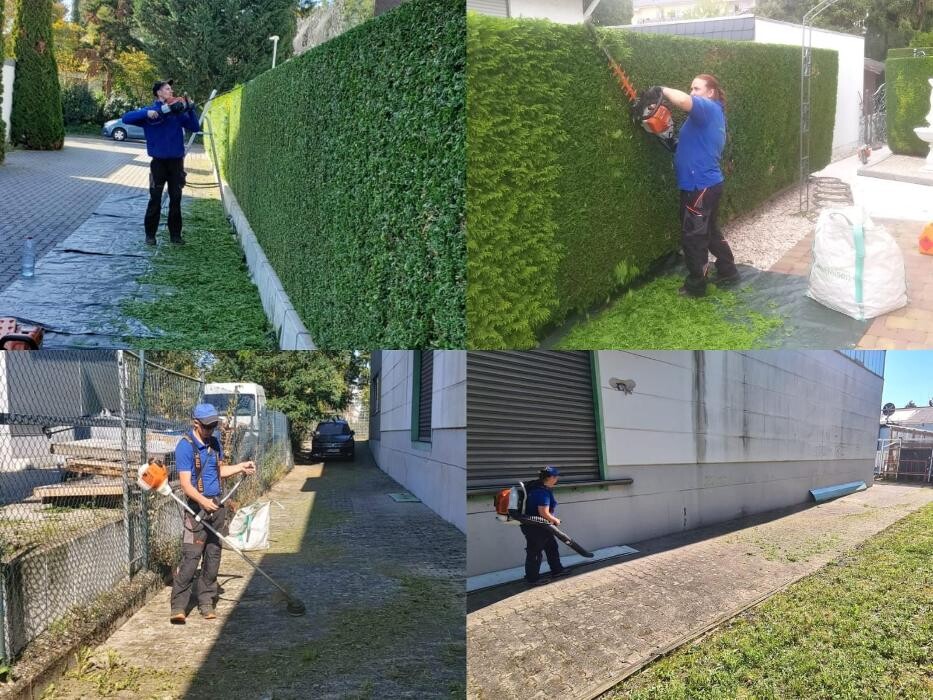 Bilder Achim Gartenpflege