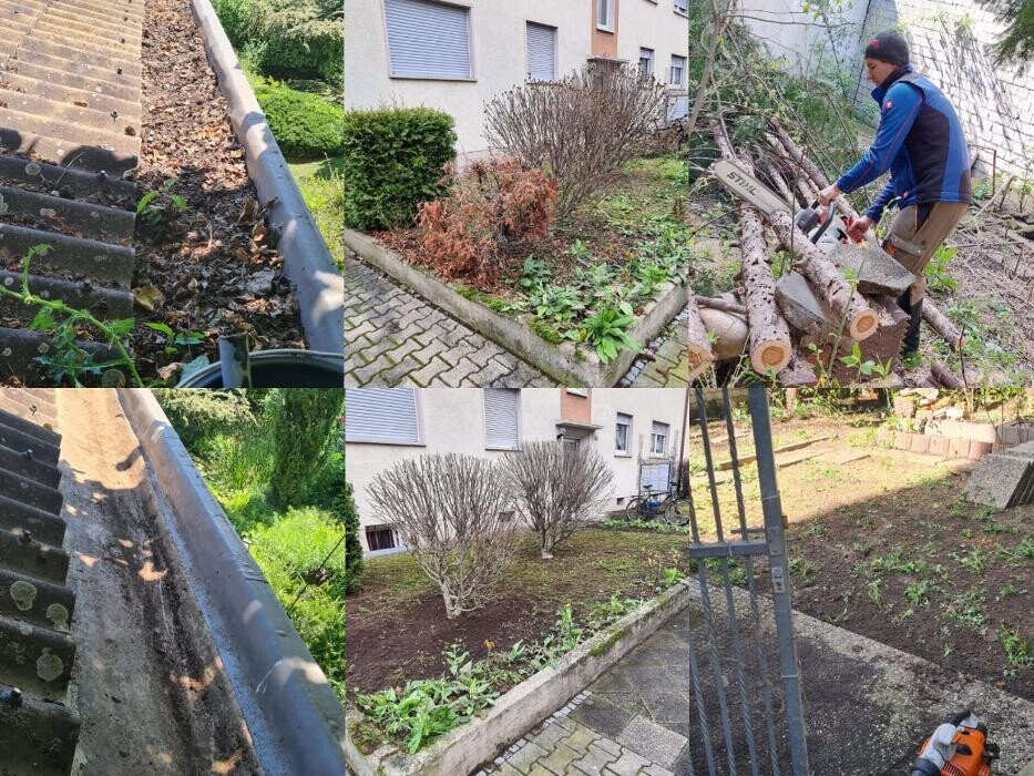Bilder Achim Gartenpflege