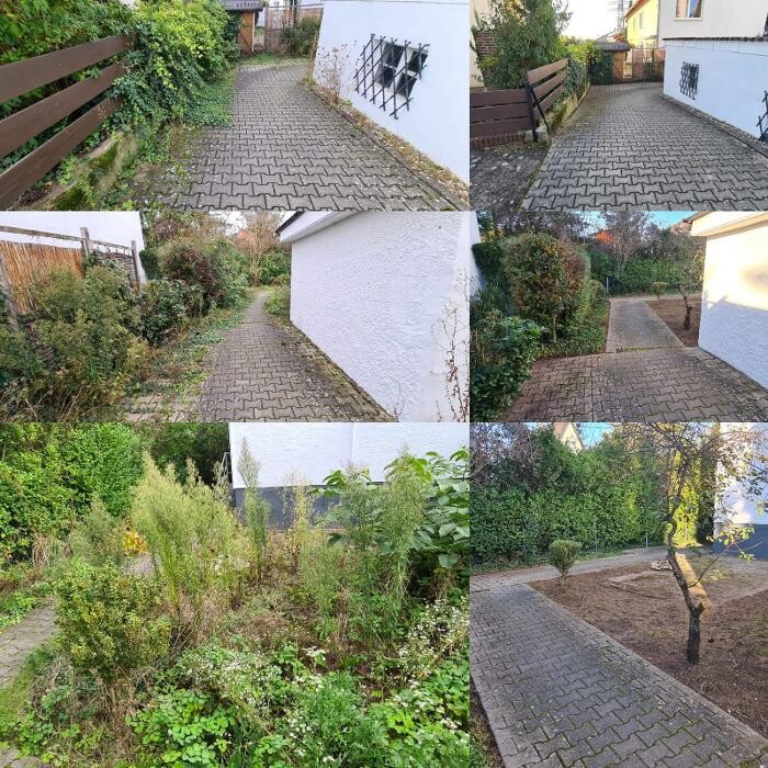 Bilder Achim Gartenpflege