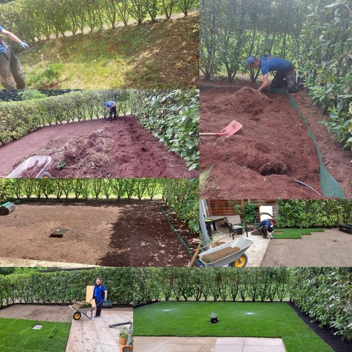 Bilder Achim Gartenpflege