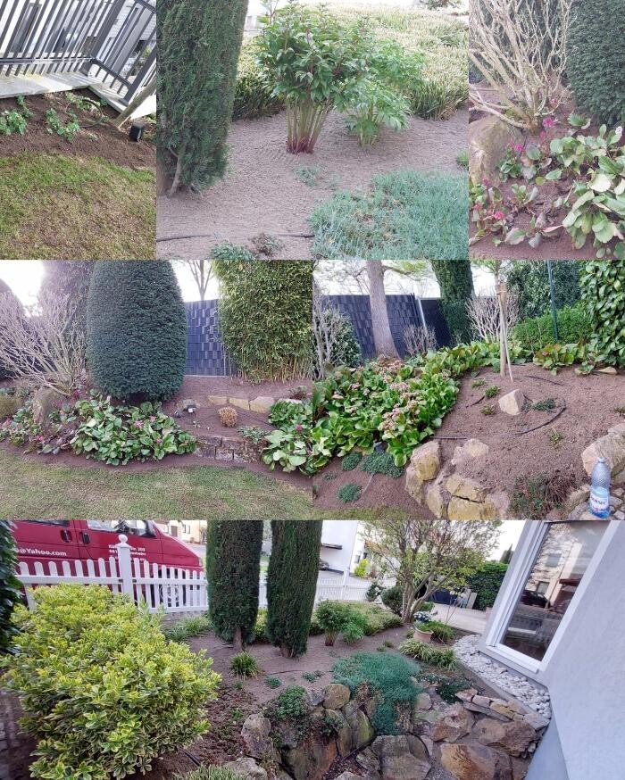 Bilder Achim Gartenpflege