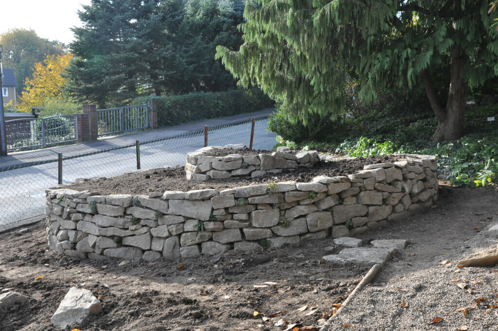 Bilder Pflanzen und Gartengestaltung Nienhaus