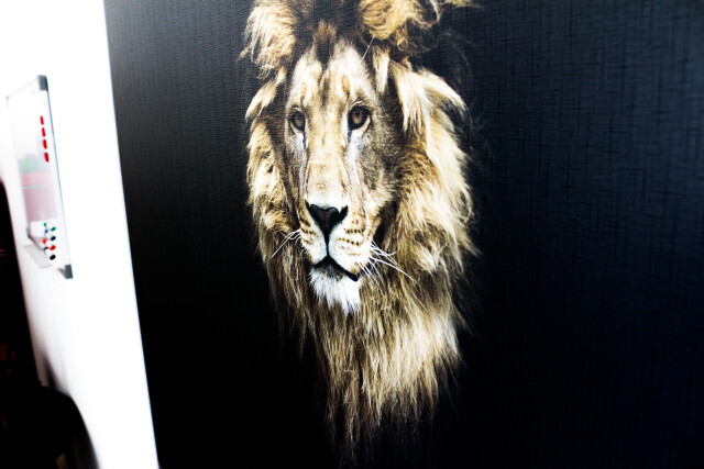 Bilder Immobilienmakler DOMINIK HÜTHER IMMOBILIEN Mutterstadt