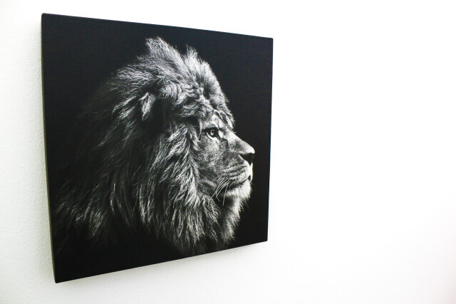 Bilder Immobilienmakler DOMINIK HÜTHER IMMOBILIEN Mutterstadt