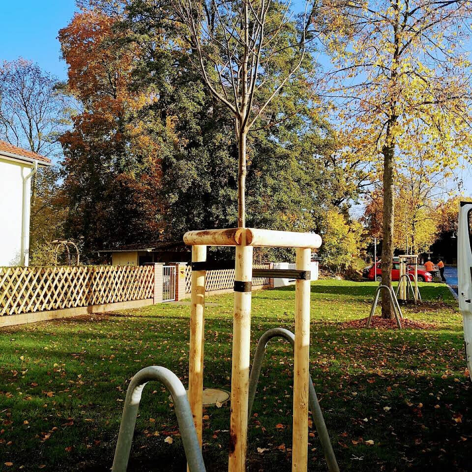 Bilder M.J.P. Baumdienst & Gartenservice