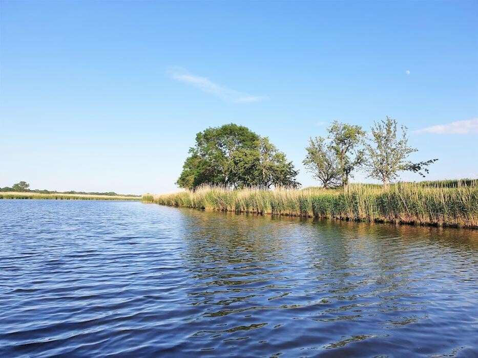 Bilder Tommy´s Bootsverleih Greifswald