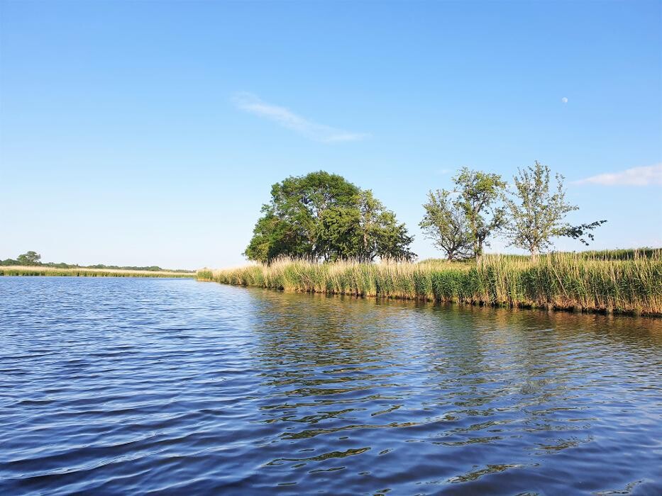 Bilder Tommy´s Bootsverleih Greifswald