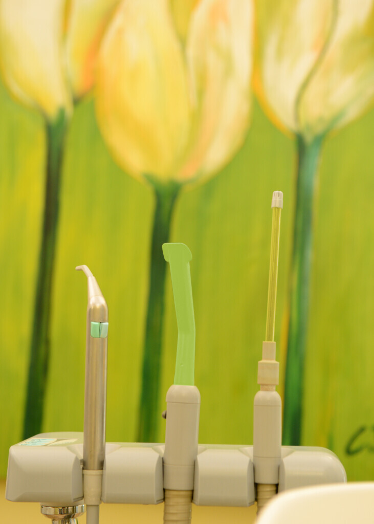 Bilder Dr. med. dent. Kerstin Polster D.M.D. (Tufts Universität, Boston)