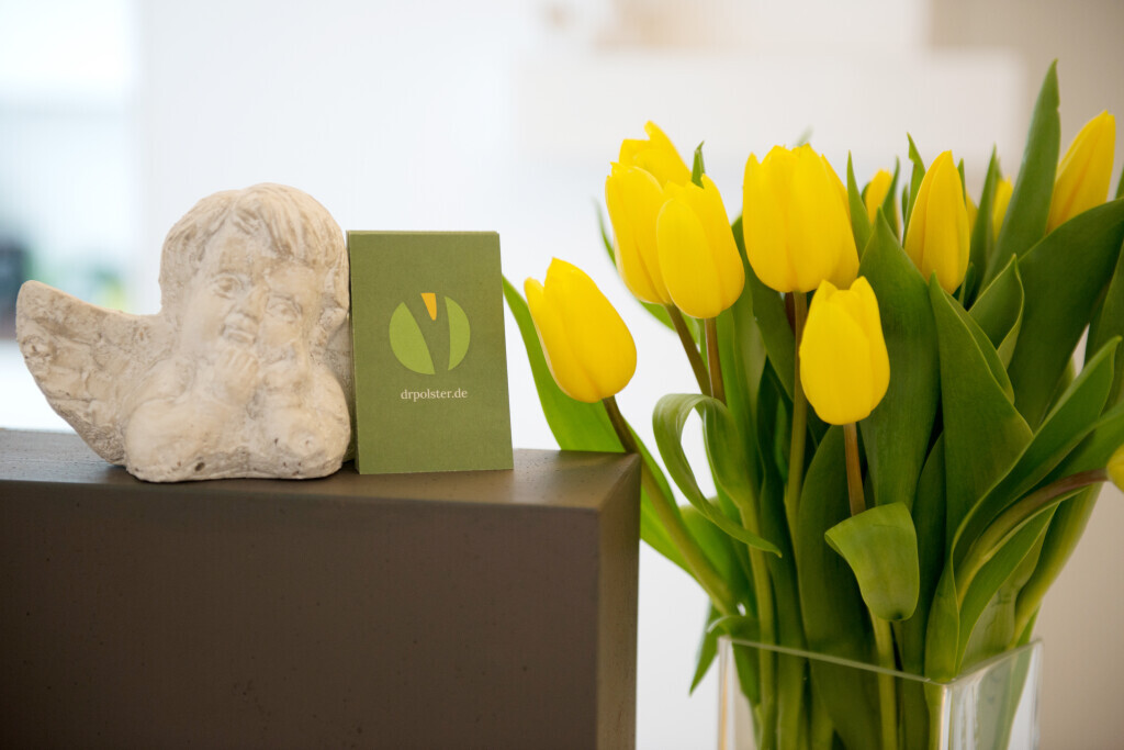 Bilder Dr. med. dent. Kerstin Polster D.M.D. (Tufts Universität, Boston)