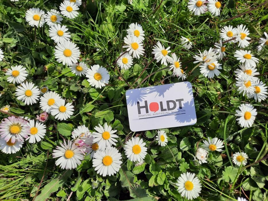 Bilder Holdt Beratung-Auditierung-Mediation