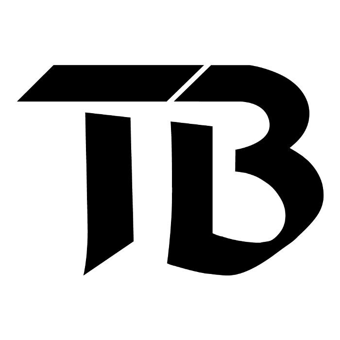 TB Effizienzberatungs GmbH Logo