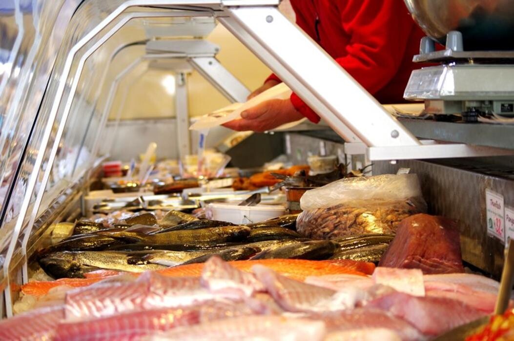 Bilder Gross Fische | Jan Gross Fischhandel