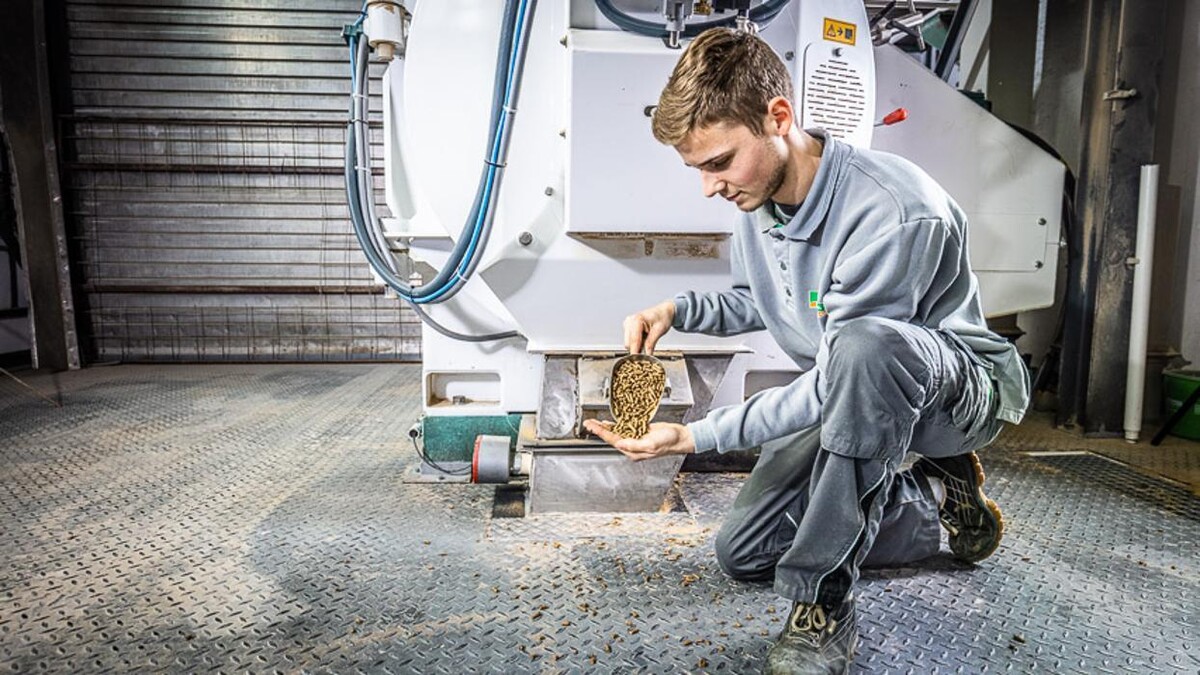 Bilder Raiffeisen Kraftfutterwerk Kehl