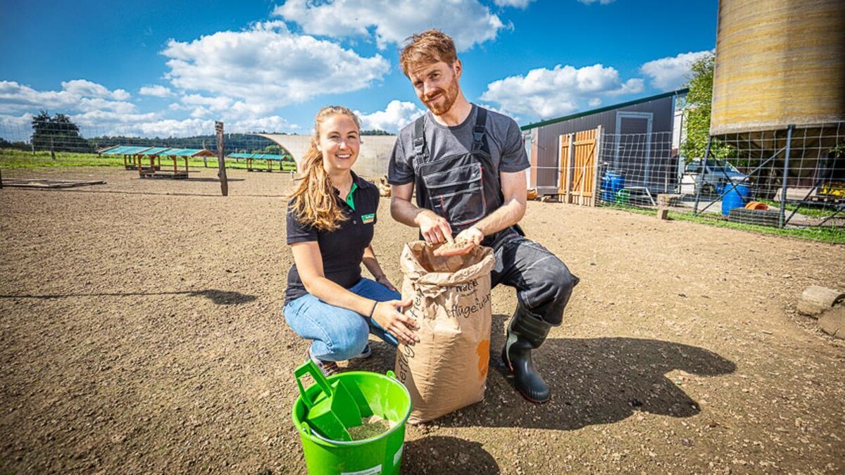 Bilder Raiffeisen Kraftfutterwerk Kehl