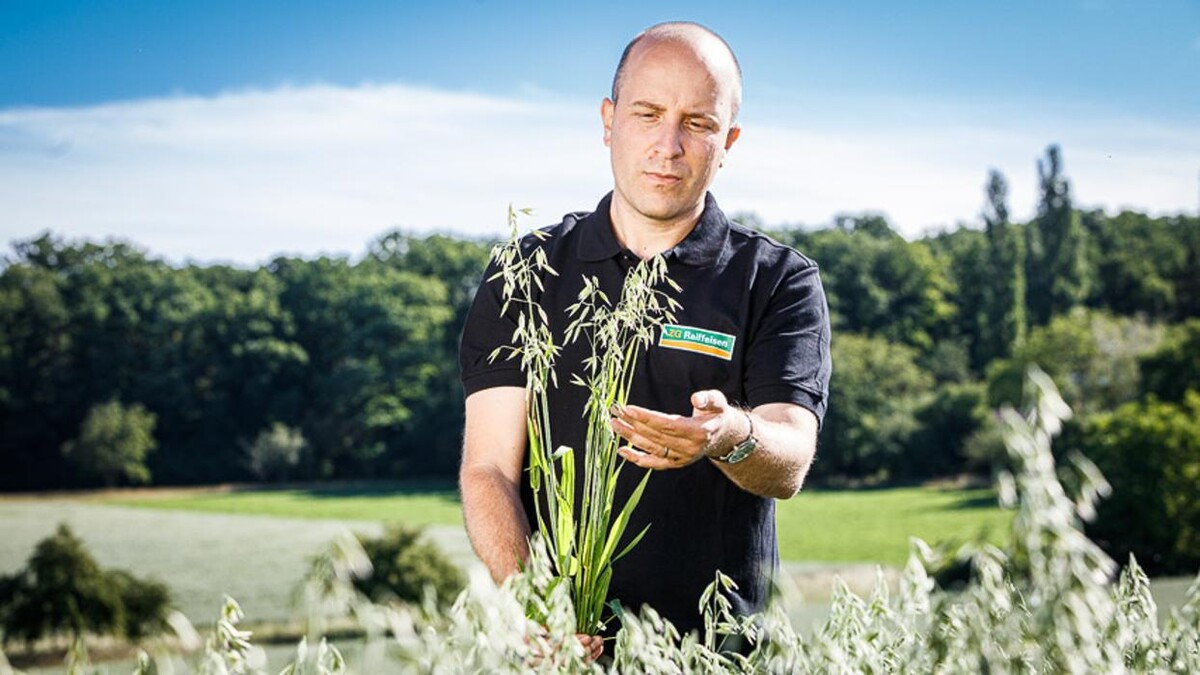 Bilder ZG Raiffeisen Agrar-Niederlassung und Getreidesilo