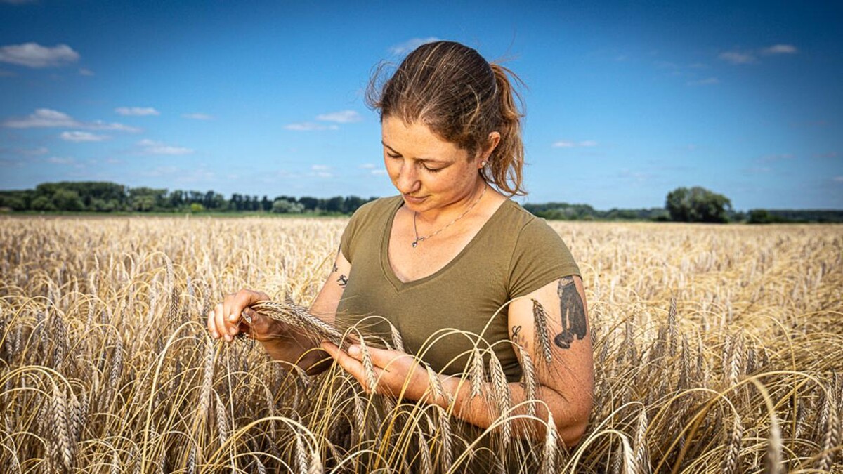 Bilder ZG Raiffeisen Agrar-Niederlassung, Rebenlager und Getreidesilo