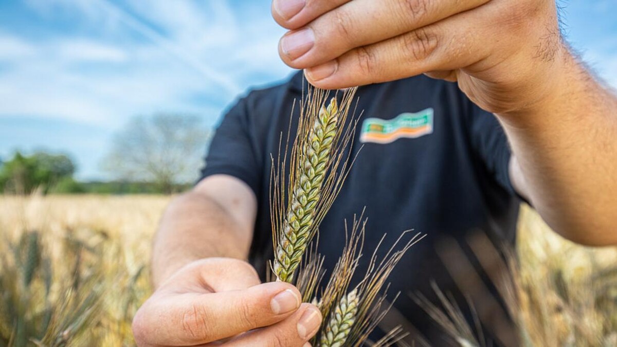 Bilder ZG Raiffeisen Hafenlager