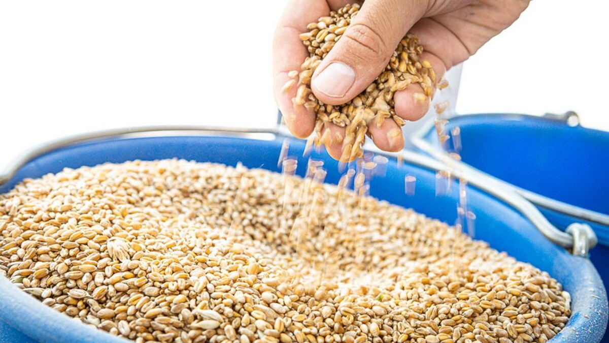 Bilder Raiffeisen Lagerhaus