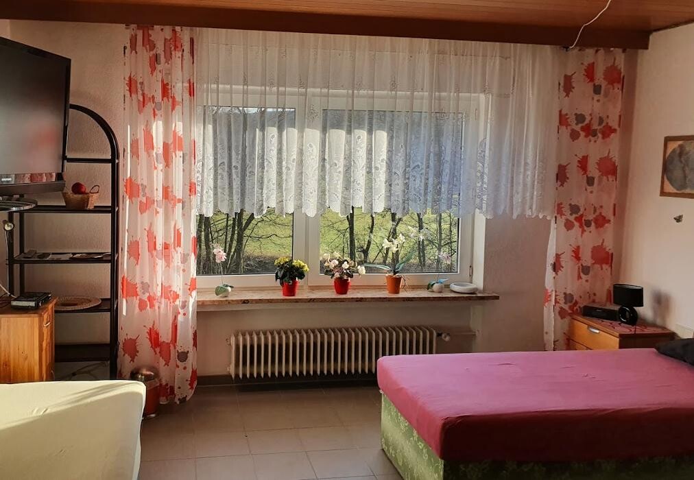 Bilder Ferienwohnung "An der Kinzig"