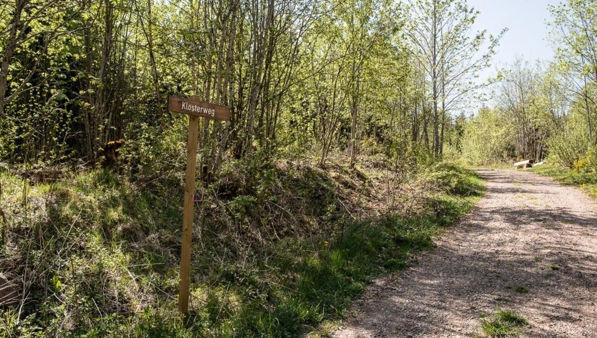 Bilder FriedWald Lenzkirch-Grünwald