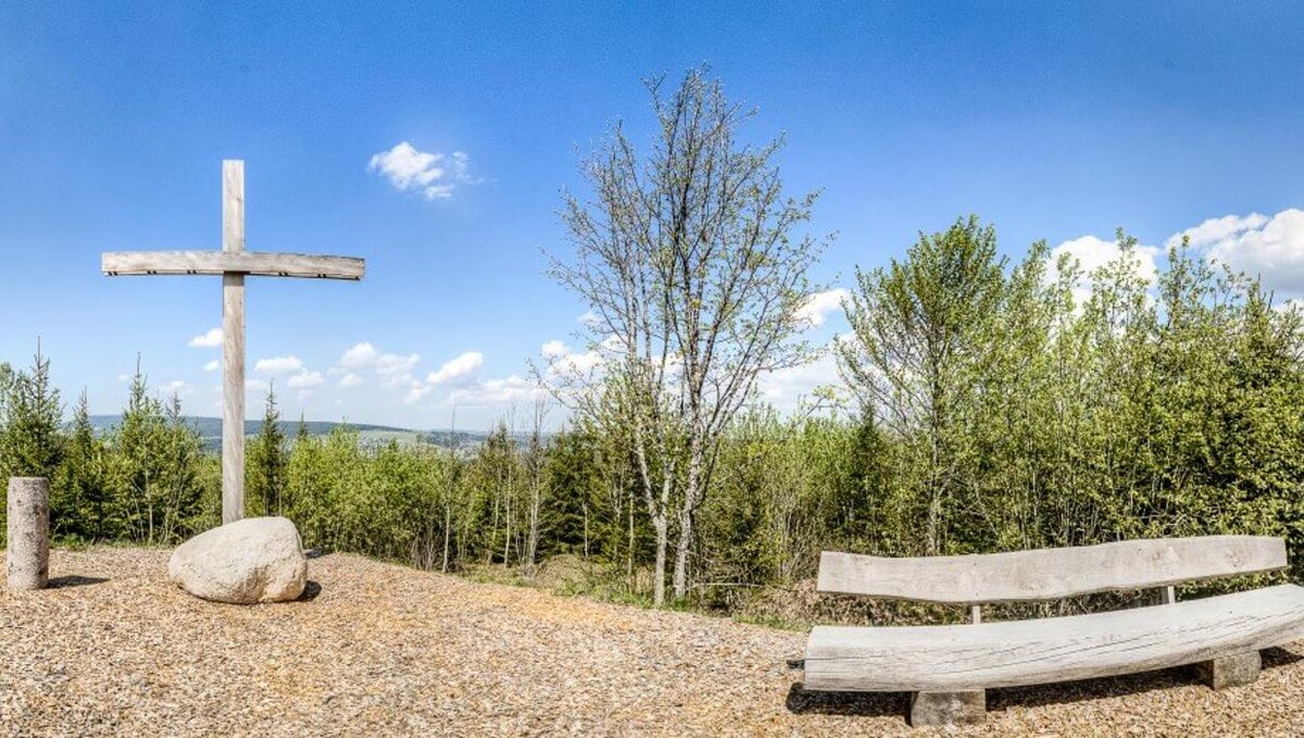 Bilder FriedWald Lenzkirch-Grünwald