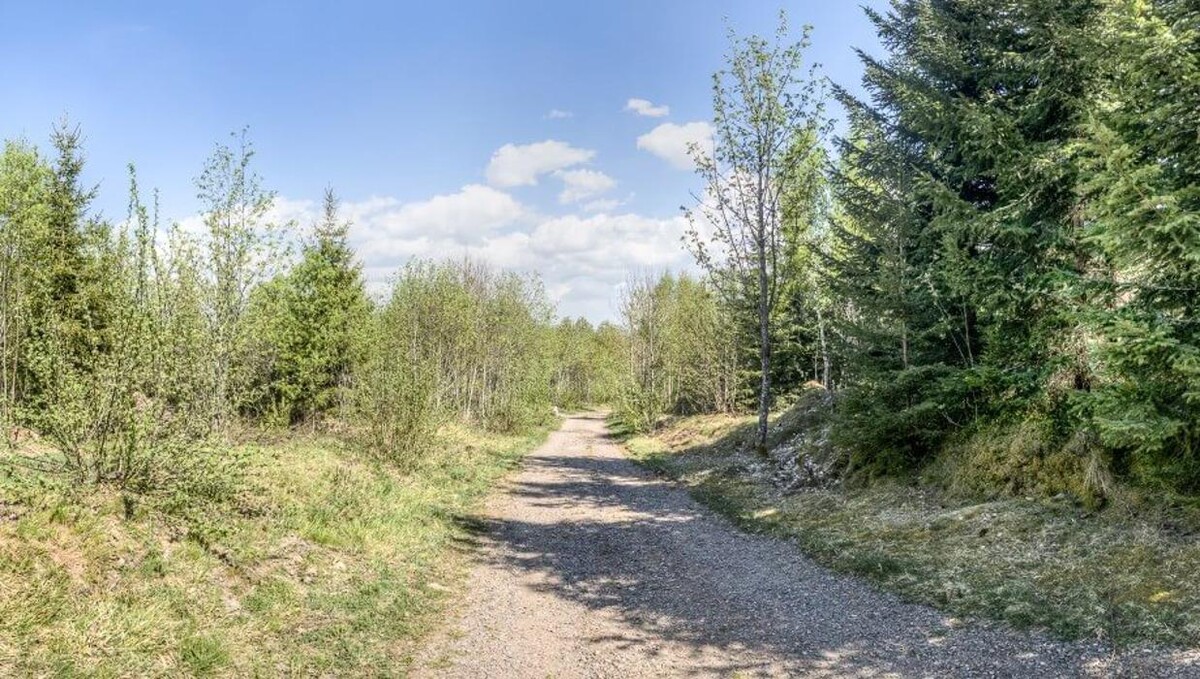 Bilder FriedWald Lenzkirch-Grünwald