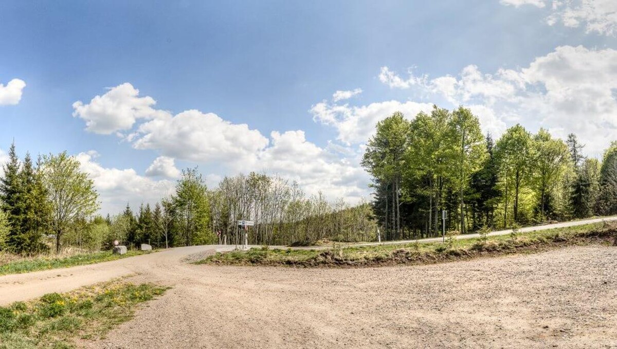 Bilder FriedWald Lenzkirch-Grünwald