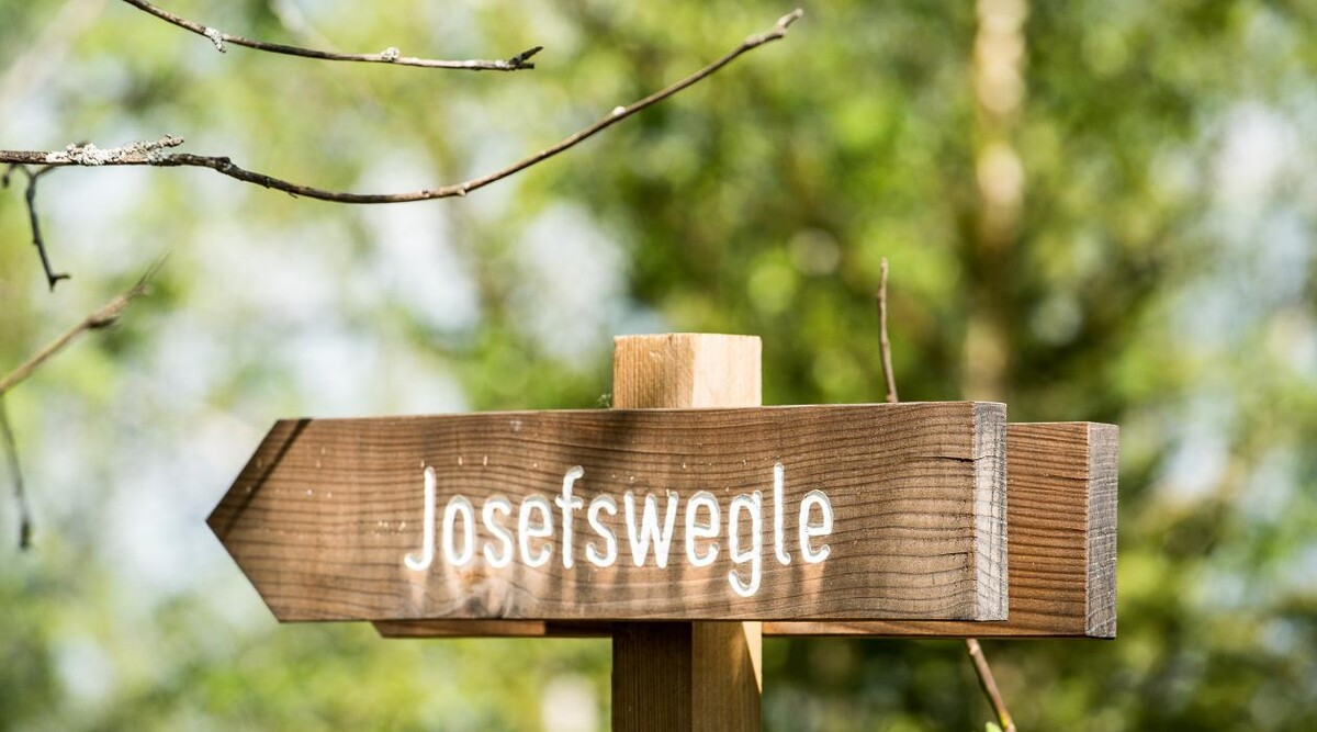 Bilder FriedWald Lenzkirch-Grünwald