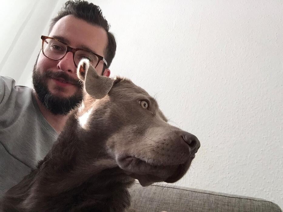 Bilder Hundeschule Wilde Hilde, Berlin