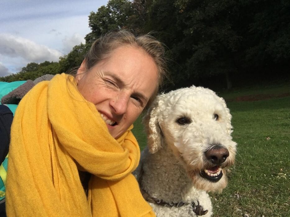 Bilder Sprache Stimme Entwicklung