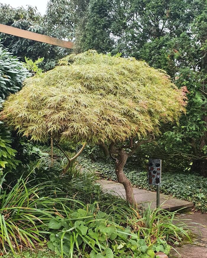 Bilder Garten- und Landschaftspflege Ulmann