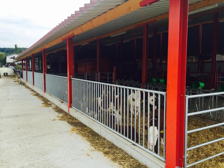 Bilder FarmPerfekt