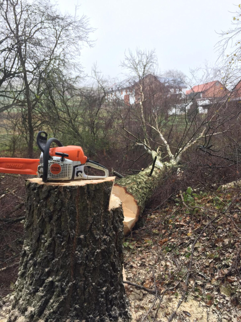 Bilder FH Gartenlandschaftsbau / Hausmeisterservice