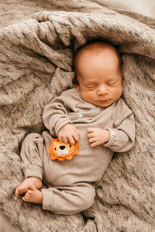 Bilder Mirjam Groth – Fotografie