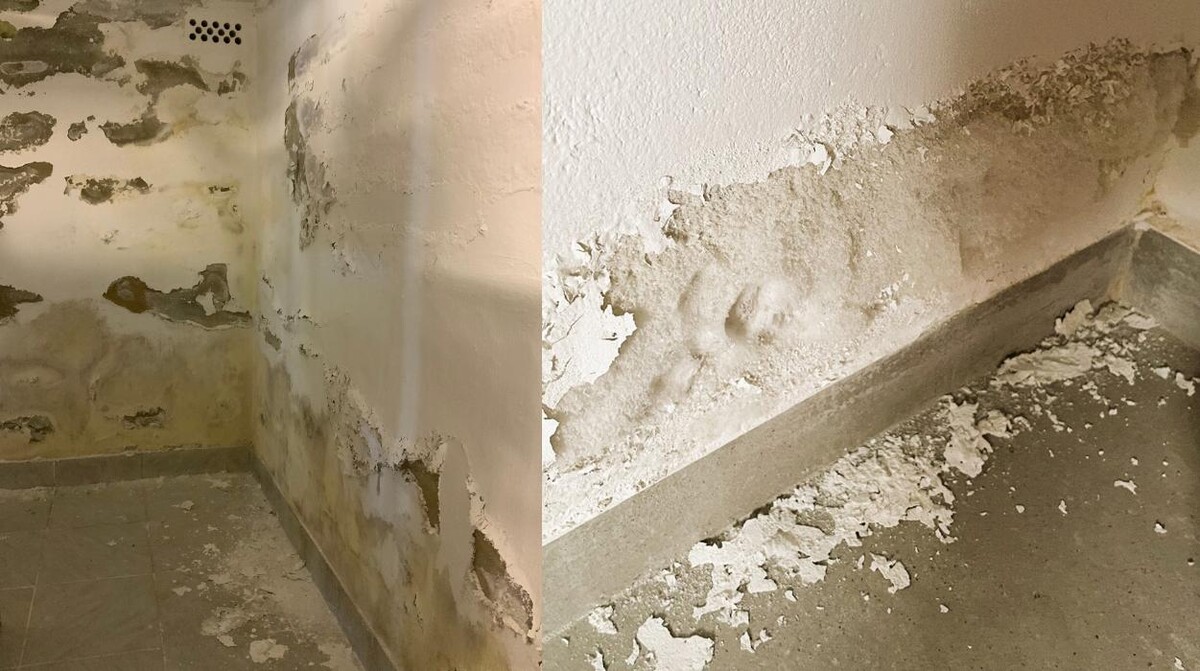 Bilder Norbert Gottschalk | Einfach trockene Wände - Bauwerksabdichtung