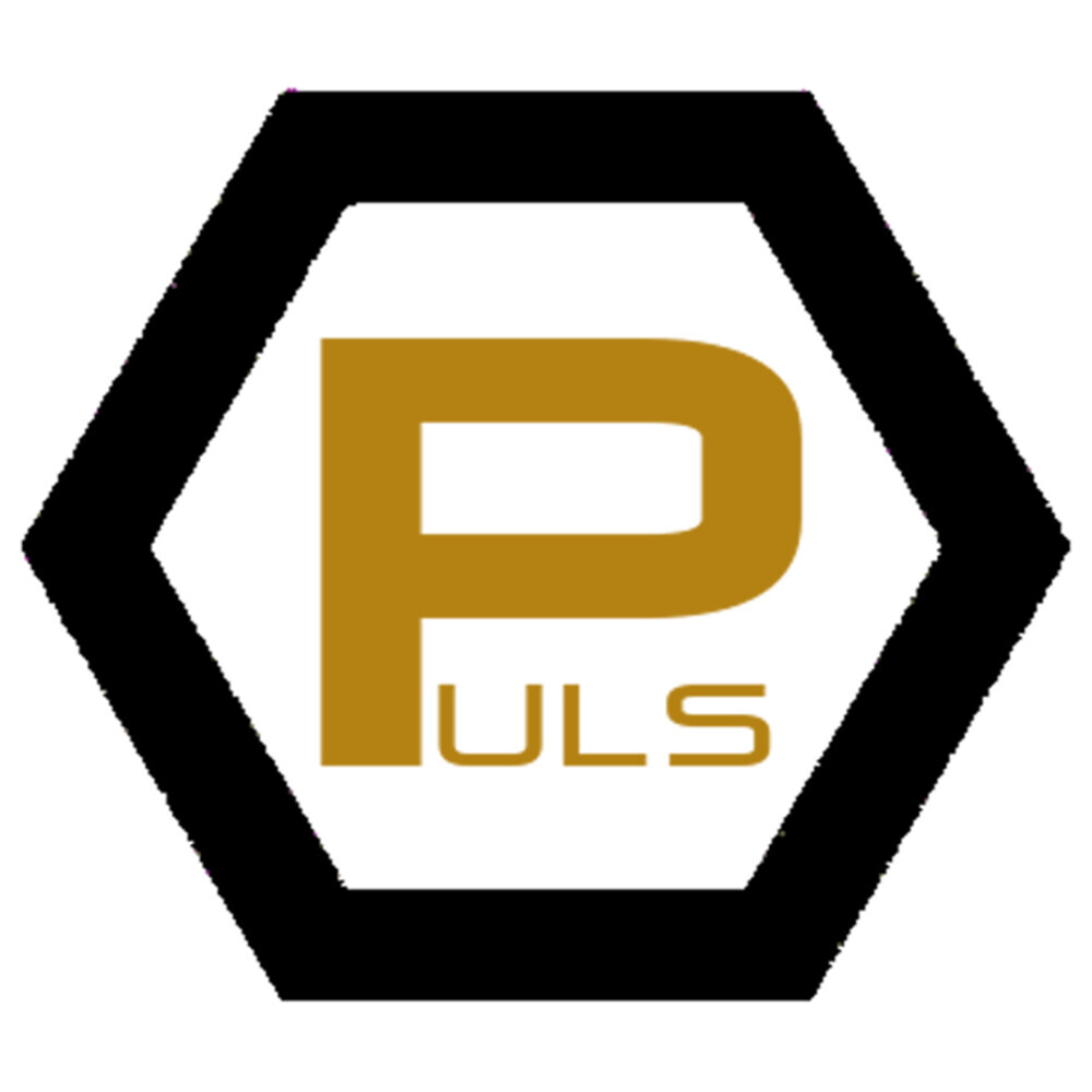 Puls Bauunternehmung Logo