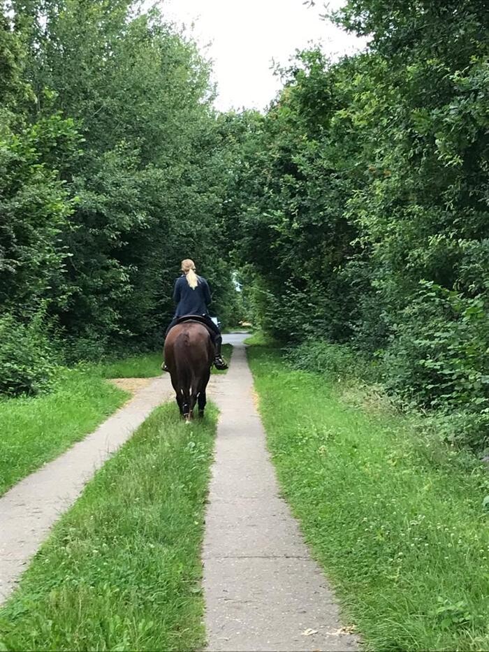 Bilder Reitsportanlage Ekholter Au