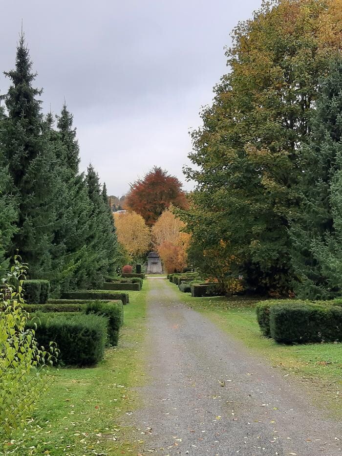 Bilder Speak Free Claudia Stichnothe Freie Rednerin für Hochzeit- Taufe- Trauer